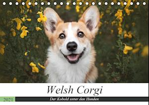 Cover for Ahrens · Welsh Corgi - Der Kobold unter d (Book)