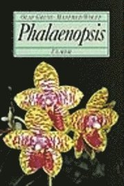 Cover for Olaf Gruß · Phalaenopsis (Hardcover Book) (1995)
