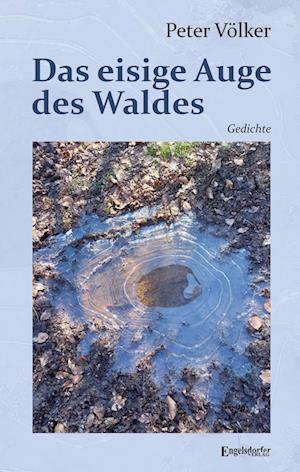 Cover for Peter Völker · Das eisige Auge des Waldes (Book) (2024)