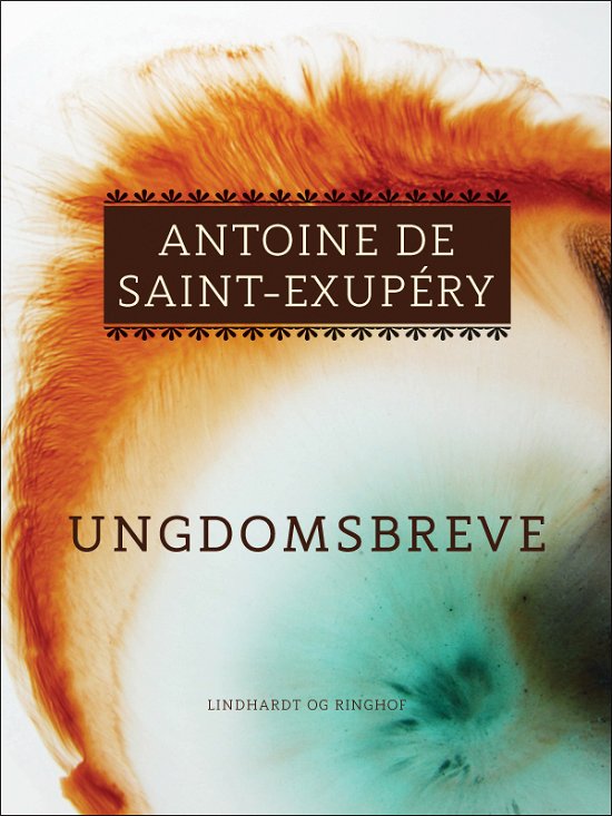 Cover for Antoine de Saint Exupéry · Ungdomsbreve (Sewn Spine Book) [1º edição] (2019)