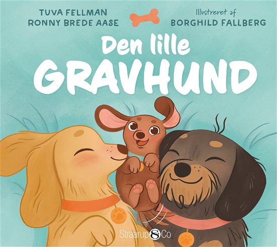 Cover for Tuva Fellmann og Ronny Brede Aase · Den lille gravhund (Hardcover Book) [1.º edición] (2023)