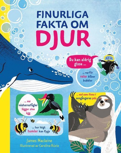 Cover for James Maclaine · Finurliga fakta om djur (Bound Book) (2022)