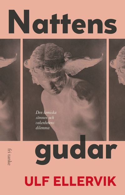 Nattens gudar : den kemiska sömnen och vakenhetens dilemma - Ulf Ellervik - Books - Fri Tanke - 9789189732513 - September 23, 2024