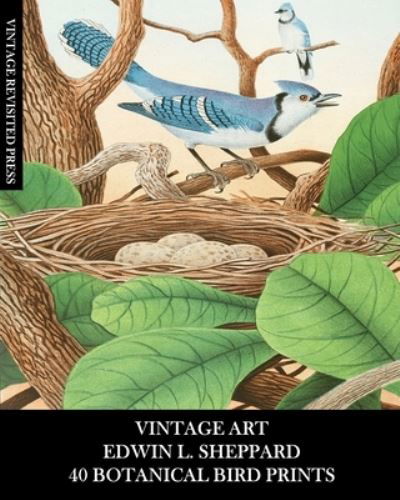Cover for Vintage Revisited Press · Vintage Art: Edwin L Sheppard:40 Botanical Bird Prints: Ornithology Ephemera for Framing, Home Decor and Collages (Paperback Book) (2024)