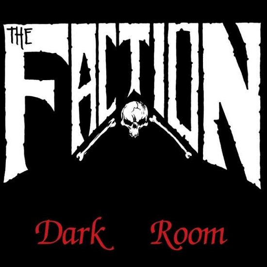 Cover for Faction · Dark Room (LP) [Limited, Coloured edition] (2016)