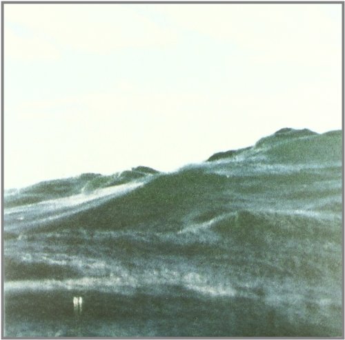 Cover for Cian Nugent · Doubles (LP) (2011)