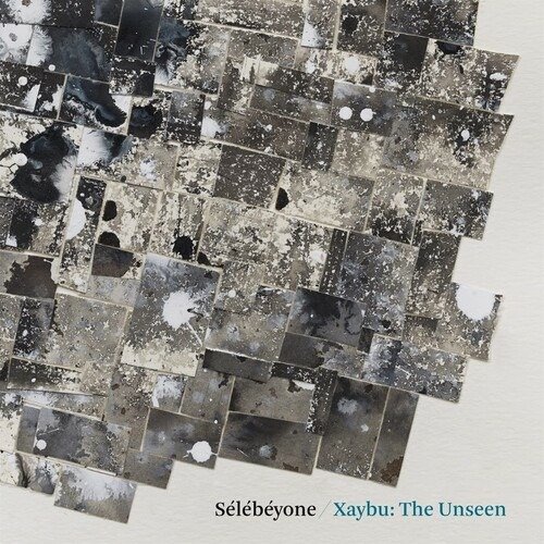 Cover for Sélébéyone (Steve Lehmann) · Xaybu: The Unseen (LP) (2022)