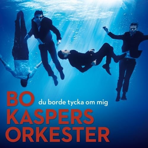Cover for Bo Kaspers Orkester · Du Borde Tycka Om Mig (LP) (2012)