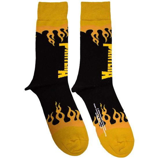 Cover for Pantera · Pantera Unisex Ankle Socks: Flame (Black) (UK Size 7 - 11) (CLOTHES) [size M] (2024)