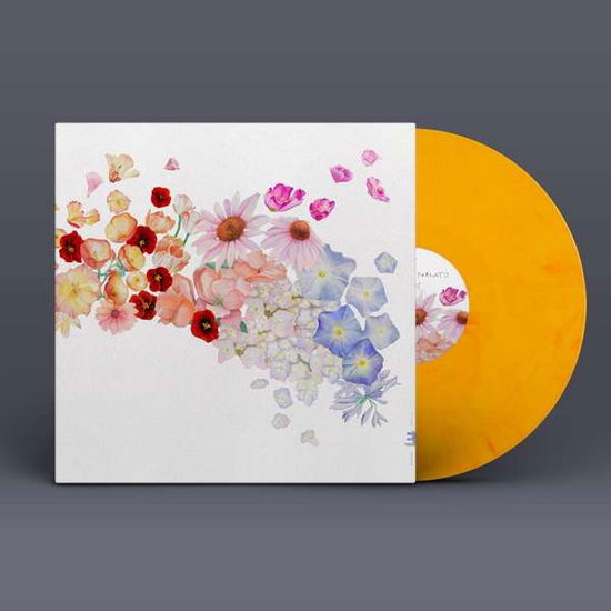 Gretchen Parlato · Flor (LP) [Limited edition] (2021)