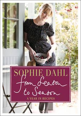 Cover for Sophie Dahl · From Season to Season: A Year in Recipes (Hardcover Book) (2011)