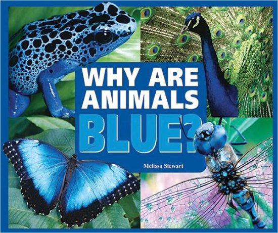 Cover for Melissa Stewart · Why are Animals Blue? (Innbunden bok) (2009)