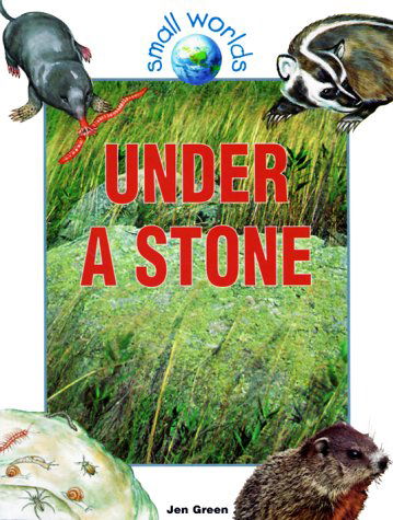 Cover for Jen Green · Under a Stone (Small Worlds) (Paperback Book) (1998)