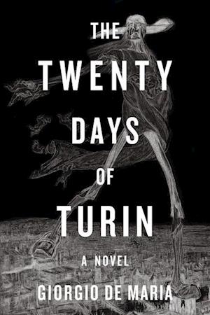 Cover for Giorgio De Maria · The Twenty Days of Turin: A Novel (Paperback Book) (2025)