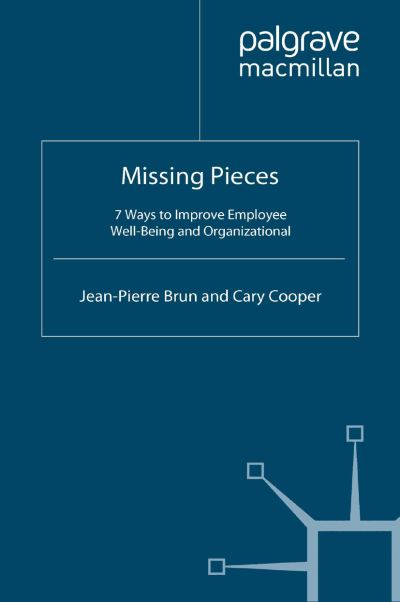 Missing Pieces - Brun - Books -  - 9781349366514 - June 2, 2009