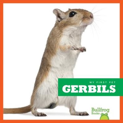 Cover for Vanessa Black · Gerbils (Hardcover Book) (2017)