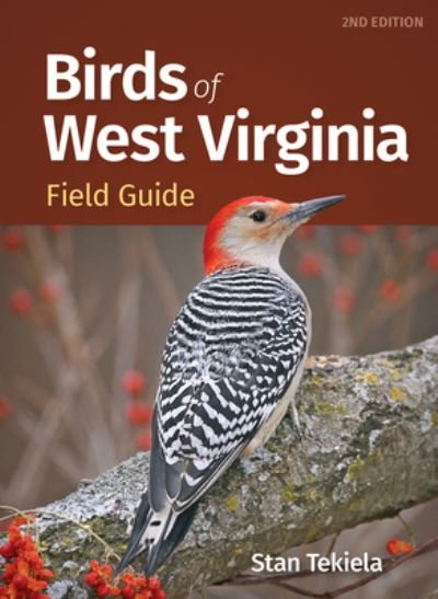 Cover for Stan Tekiela · Birds of West Virginia Field Guide (Paperback Book) [2 Revised edition] (2024)
