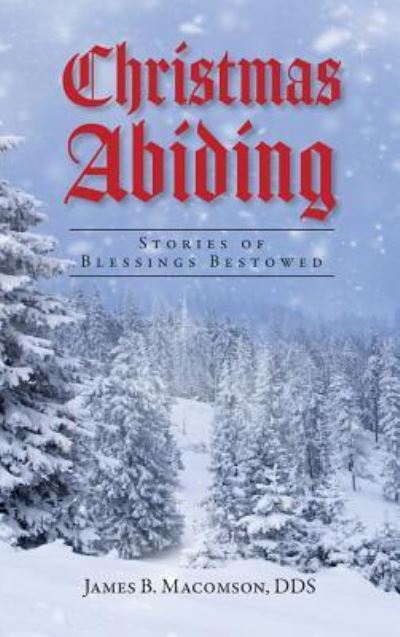 Cover for James B Macomson · Christmas Abiding (Hardcover Book) (2019)