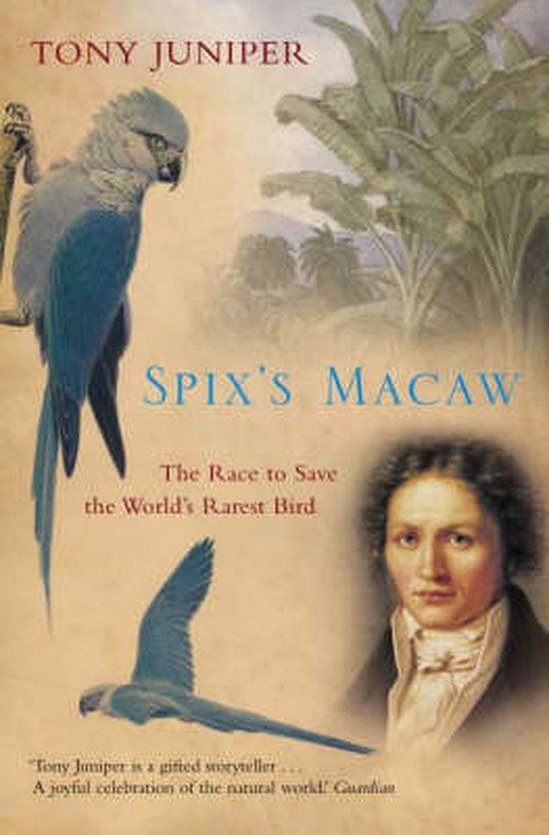 Cover for Tony Juniper · Spix's Macaw: The Race to Save the World's Rarest Bird (Paperback Bog) (2003)
