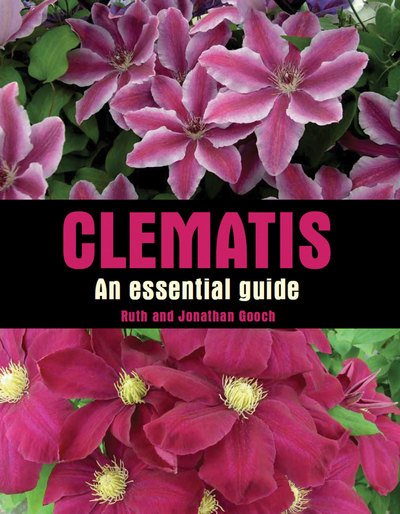 Clematis: An Essential Guide - Ruth Gooch - Bücher - The Crowood Press Ltd - 9781847972514 - 25. April 2011
