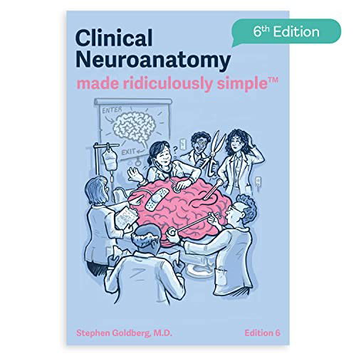 Cover for Stephen Goldberg · Clinical Neuroanatomy Made Ridiculously Simple (Book) (2022)