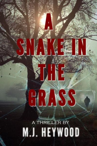 Cover for M J Heywood · A Snake in the Grass (Paperback Book) (2018)