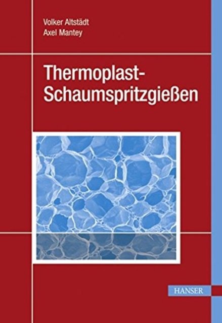 Cover for Altstadt · Schaumspritzgiessen (Hardcover Book) (2010)