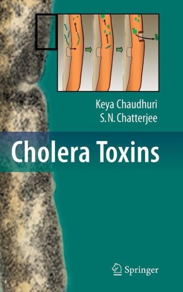 Cover for Keya Chaudhuri · Cholera Toxins (Inbunden Bok) [2009 edition] (2009)