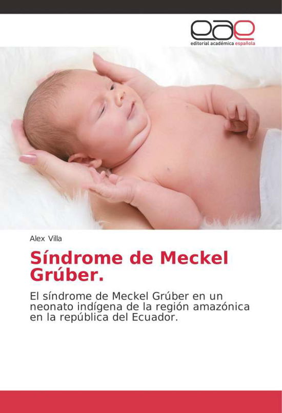 Cover for Villa · Síndrome de Meckel Grúber (Book)