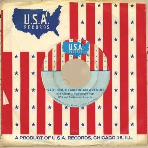 2131 South Michigan Avenue: 60's Garage & Psychedelia from USA and Destination Records - Various Artists - Música - Sundazed Music, Inc. - 0090771524515 - 2016