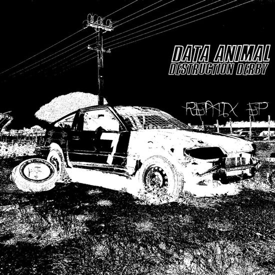 Cover for Data Animal · Destruction Derby (Cassette) (2024)