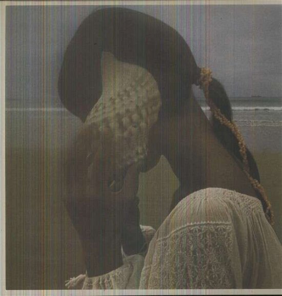 Cover for Allah Las (LP) (2012)