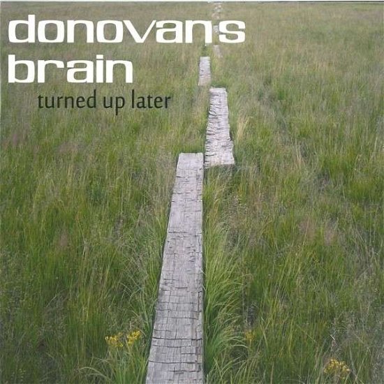 Cover for Donovan's Brain · Turned Up Later (LP) (2013)
