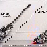 Acoustic - No Use for a Name / Lagwagon - Music - FAT WRECK CHORDS - 0751097066515 - May 18, 2004