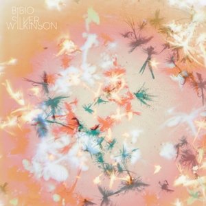Cover for Bibio · Silver Wilkinson (LP) (2013)