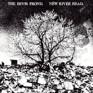 Cover for The Bevis Frond · New River Head (LP) [Limited edition] (2016)