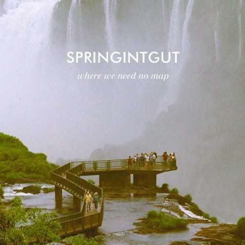 Cover for Springintgut · Where We Need No Map (LP) (2023)