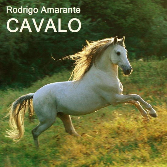 Cover for Rodrigo Amarante · Cavalo (LP) (2018)