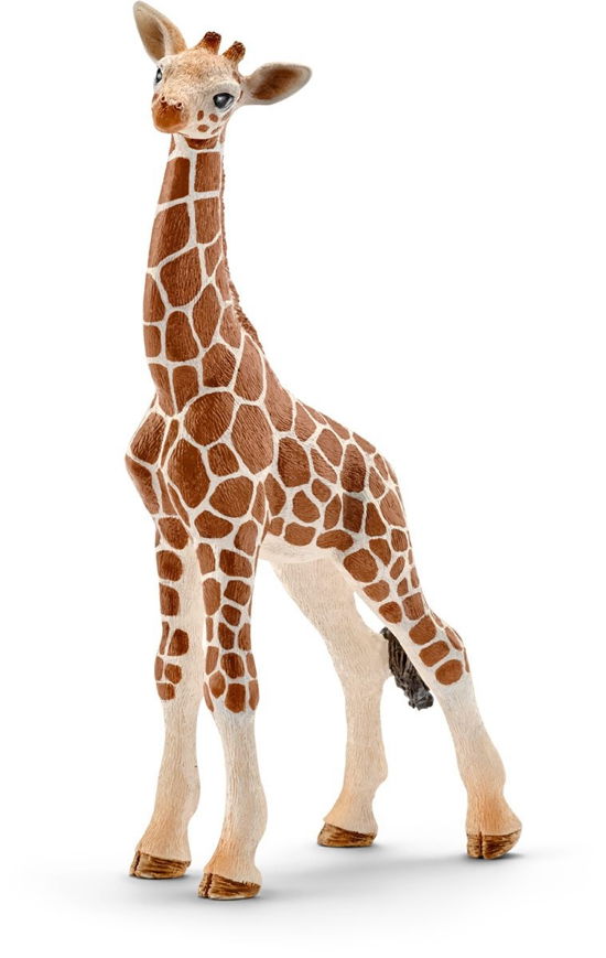Speelfiguur Schleich Baby Giraf - Schleich - Gadżety - Schleich - 4005086147515 - 1 lipca 2019