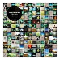 Cover for Darden Smith · Everything (CD) [Japan Import edition] (2017)