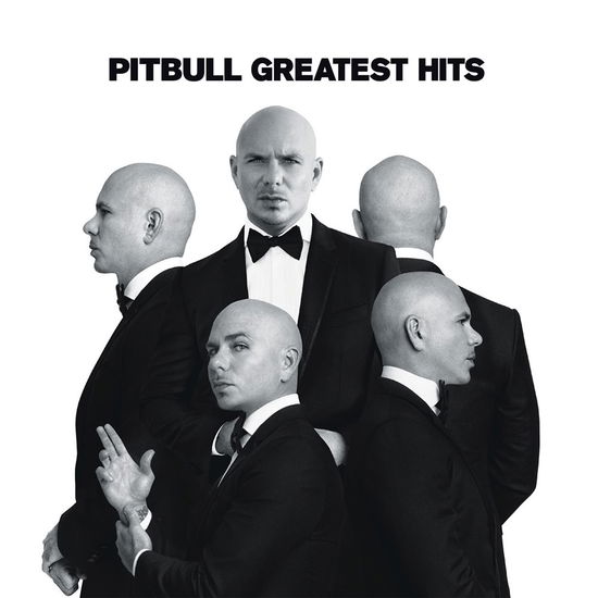 Greatest Hits - Pitbull - Muzyka - SONY MUSIC LABELS INC. - 4547366338515 - 1 grudnia 2017