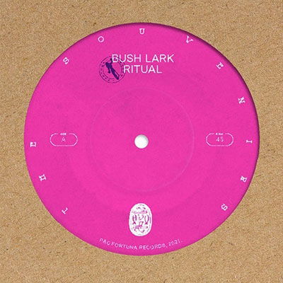 Bush Lark Ritual - Souvenirs - Musik - FORTUNA - 5050580796515 - 16. Dezember 2022