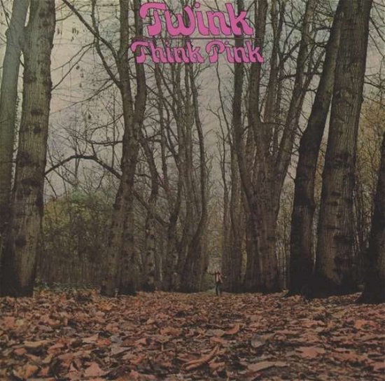 Think Pink - Twink - Musik - Sunbeam Records - 5051125509515 - 2. april 2013