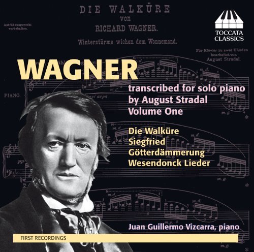 Cover for Wagner / Vizcarra,juan Guillermo · Wagner Transcribed for Solo Piano by Stradal 1 (CD) [Japan Import edition] (2013)