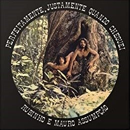 Cover for Rubinho E Mauro Assumpcao · Perfeitamente / Justamente Quando Cheguei (LP) (2023)