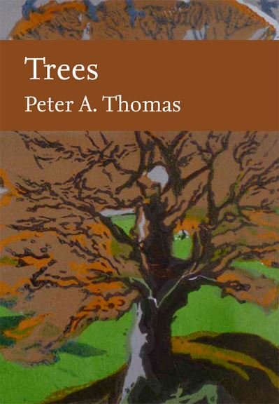 Trees - Collins New Naturalist Library - Peter Thomas - Kirjat - HarperCollins Publishers - 9780008304515 - torstai 28. huhtikuuta 2022