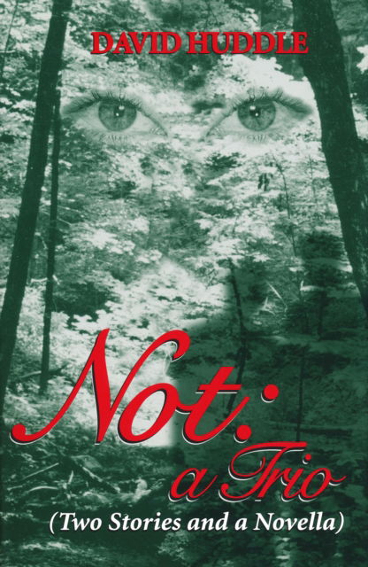 Cover for David Huddle · Not: A Trio (Hardcover Book) (1998)