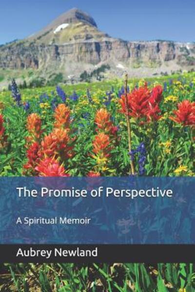 Cover for Aubrey Newland PhD · The Promise of Perspective : A Spiritual Memoir (Pocketbok) (2018)