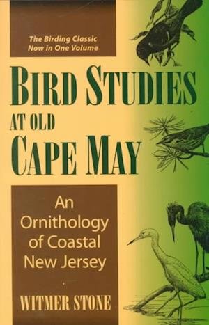 Cover for Witmer Stone · Bird Studies at Old Cape May: An Ornithology of Coastal New Jersey (Paperback Bog) [New edition] (2000)