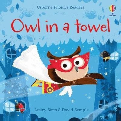 Cover for Lesley Sims · Owl in a Towel - Phonics Readers (Paperback Bog) (2022)